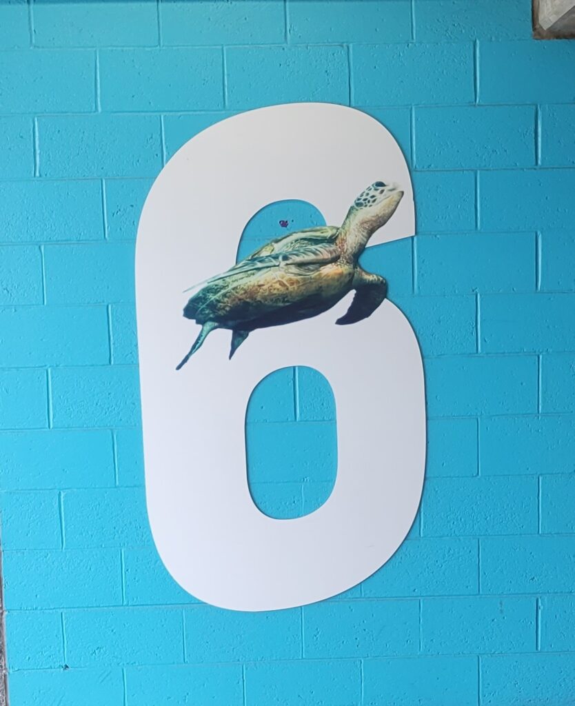 Photo of the Georgia Aquarium parking garage, level 6 with a picture of a sea turtle.